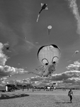 Kite Festival 002