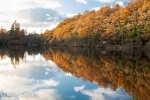 Loch Ard Autumn Refections, 4