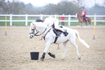 SBM_003365
