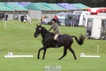 602-WIGSY-Janet.Harvey-DR portfolio