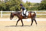 SBM_003935