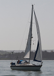 110410 MELTEM K2195T IMG_1212