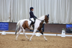 SBM_003544