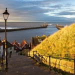 Whitby Lamp
