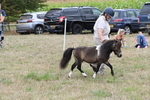 WJ6_5695