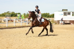 SBM_002584