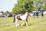 SBM_04109