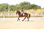 SBM_012441