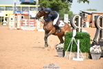 Cls 2 Foxhunter portfolio