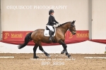 BPP_8894