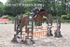 BPP_3737