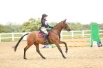 SBM_001460