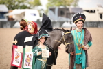 Class 21 Fancy Dress (IH or Ridden) portfolio