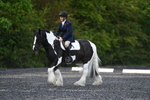 WJ5_8684