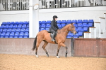 SBM_001875