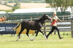 SBM_02398