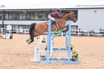 BPP_8560