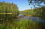 Nuuksio National Park, Uusimaa, Finland