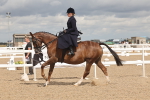 SBM_06361