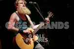 Hayseed Dixie-45