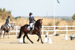 SBM_016878
