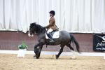 SBM_002407
