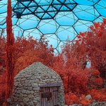 The temperate biome, Eden