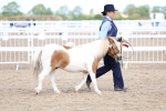 SBM_02414