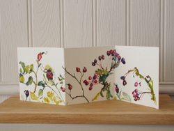 Rose hips and Hawthorn berries