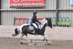 BPP_1493