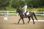 SBM_007368