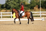 SBM_008185