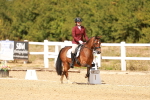 SBM_018631