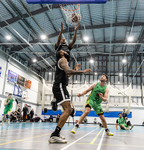 Harry Wentworth -6567