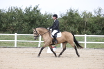 SBM_017447