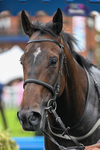 030726-Race 3-Im Next-1128