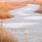 MARCH DAWN - BIG CREEK