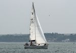 110711 FLEUR DE LIS IMG_9760