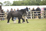 SBM_15979