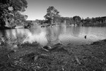 Brownsea Island - West Lake