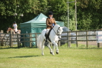 SBM_09729
