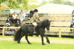 SBM_71942
