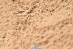 231122A-121118-00295