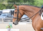 BPP_7508