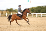 SBM_007356