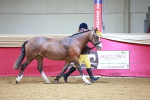 SBM_00437