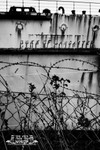 Duke Of Lancaster 6