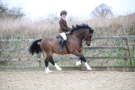SBM_006337