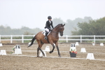 SBM_004664
