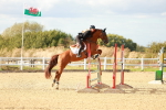 SBM_002306